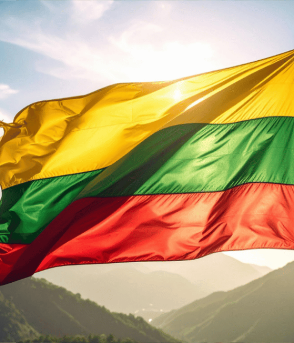 litvanyada-egitim-al-bilgi